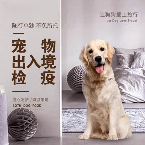南投县宠物托运到哥伦比亚猫狗宠物入境规定和