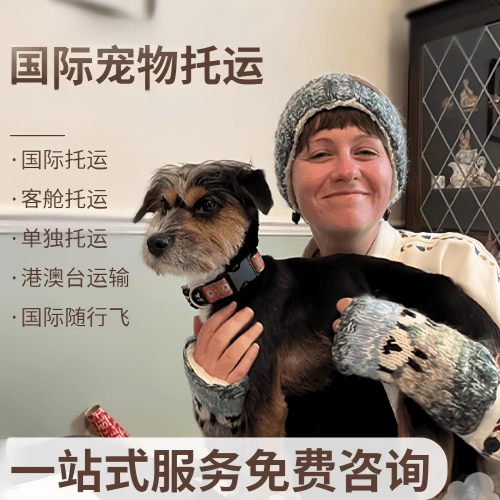 南投县国际宠物托运到阿根廷宠物入境规定和要