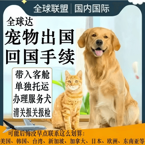 南投县宠物托运到柬埔寨宠物入境规定和要求
