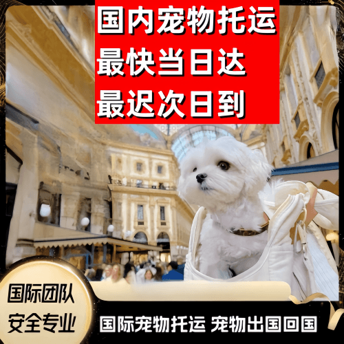 南投县到澳大利亚（澳洲）宠物入境规定和要求
